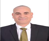 ناصر عبد الباري نائباً لرئيس جامعة المنوفية لشئون التعليم والطلاب