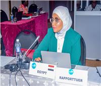 معاون وزيرة الهجرة تمثل مصر في اجتماعات "الكوميسا"