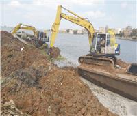 «الرى»: إزالة التعديات على النيل بالتنسيق مع الداخلية والمحليات