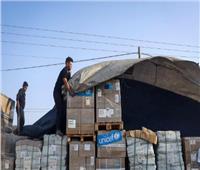 وصول أول سفينة مساعدات إلى شواطئ غزة.. بـ 200 طن من المواد الغذائية