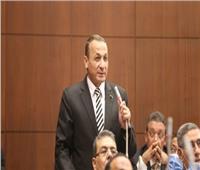 برلمانية حماة الوطن بـ«الشيوخ» تطالب بسرعة إنهاء أزمة الطلاب المصريين في الخارج 