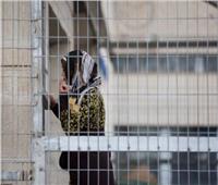 كيف تتعامل الأسيرات الفلسطينيات في سجن الدامون مع ظروفه القاسية خلال شهر رمضان؟