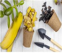 «بلاش ترميها».. 4 طرق لاستخدام قشر الموز في حديقتك