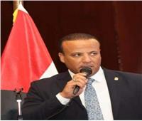 نائب رئيس العربي الناصري يثمن جهود الحكومة لتنفيذ مخرجات الحوار الوطني