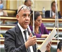 برلماني: زيارة جوتيريش للقاهرة تأتى استكمالا للدور المصري لدعم القضية الفلسطينية ‎