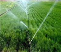 «الأرصاد» تكشف عن مواعيد ري القمح بالمحافظات