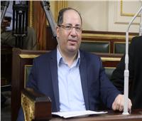 برلماني: العلاقات بين مصر والإمارات نموذج قوي لتحقيق الوحدة العربية