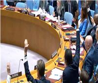 برلماني: قرار مجلس الأمن بوقف اطلاق النار في غزه انتصار للإنسانية