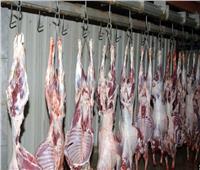 رئيس «زراعة الشيوخ» يكشف أسباب انخفاض أسعار اللحوم لـ 250 جنيهًا 