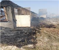 السيطرة على حريق في مزرعة دواجن بالإسماعيلية| صور