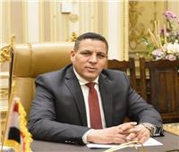 برلماني: مصر تخوض تنمية زراعية شاملة عبر مشاريع عملاقة 