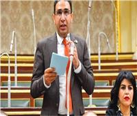 برلماني: مصر أصبحت قبلة لاستثمارات عربية وعالمية خلال 10 سنوات‎    