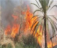 إخماد حريق اندلع داخل مزرعة بمنطقة الشيخ زايد
