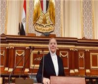 برلمانية: مشروع مستقبل مصر يستهدف جذب الاستثمارات بالقطاع الزراعي