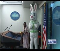 أرنب يقتحم مؤتمرًا صحفيًا للبيت الأبيض| فيديو