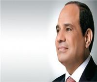 أستاذ علوم سياسية: مصر نجحت في بناء دوائر جديدة في عهد الرئيس 