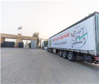وصول قافلة المساعدات الإنسانية من صندوق تحيا مصر إلى الجانب الفلسطيني لإغاثة أهل غزة