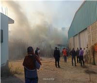 السيطرة على حريق محدود بمصنع زيوت بالقنطرة شرق الإسماعيلية 