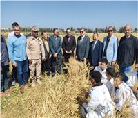محافظ شمال سيناء يشهد موسم حصاد القمح بمدرسة الزراعة بالعريش