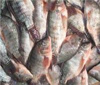 أسعار الأسماك اليوم 6 أبريل بسوق العبور