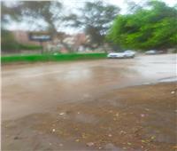 أمطار غزيرة ورياح شديدة تضرب مدن ومراكز محافظة الغربية| صور