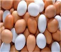أسعار البيض في الأسواق اليوم الثلاثاء 9 أبريل 