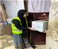 "مصر الخير" توزع 11700 كيس مواد غذائية على الأسر الأولى بالرعاية بالبحيرة