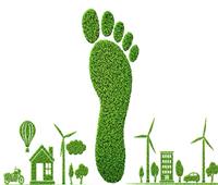 انفوجراف| «معلومات الوزراء» ينشر تقريرًا عن «الممارسات الصديقة للبيئة»