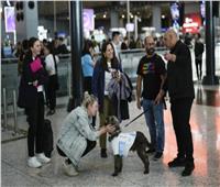 لتخفيف توتر المسافرين.. كلاب في مطار إسطنبول