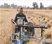 «الزراعة» تعلن بدء موسم حصاد القمح.. و«القصير» يوجه بالتيسير على المزارعين