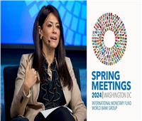 «المشاط» تبدأ مشاركتها في اجتماعات الربيع لصندوق النقد والبنك الدوليين لعام 2024