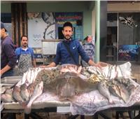 سمكة «الشيطان» الغريبة تظهر في سوق السمك بالإسماعيلية| فيديو وصور 