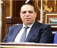 الصافي عبد العال: الرؤية المصرية أصبحت الضمانة الوحيدة لتحقيق الاستقرار الإقليمي