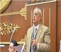 «عضو بالشيوخ»: موقف مصر ثابت في رفض العدوان على غزة