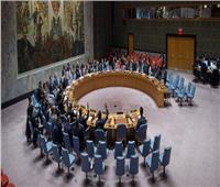الجزائر: تصويت مجلس الأمن على عضوية فلسطين بالأمم المتحدة مساء اليوم دون تأجيل 