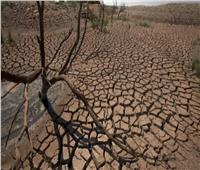 المغرب العربي يواجه خطر الجفاف والزراعة الأكثر تضرراً