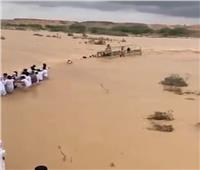 بسبب السيول.. إنقاذ ناقة علقت في الرمال بسلطنة عمان| فيديو