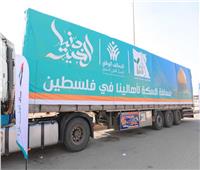 «التحالف الوطني» يطلق قافلة المساعدات السابعة لدعم الفلسطينيين في غزة