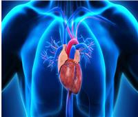 4 طرق يؤثر بها فقر الدم على القلب