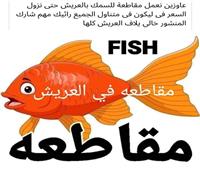 على خطى محافظات القناة.. أبناء شمال سيناء يدشنون حملة لمقاطعة أسماك البردويل