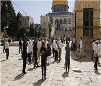 الأردن يدين سماح الاحتلال الإسرائيلي للمستوطنين المتطرفين باقتحام المسجد الأقصى