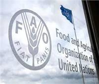 «فاو»: إطلاق مبادرة عالمية لتقليل الحاجة إلى مضادات الميكروبات في المزارع