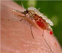 اليوم العالمي للملاريا.. الأعراض والأسباب وكيف تنتقل العدوى؟