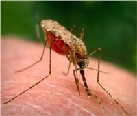 الصحة: 6 أعراض خطيرة تسببهم الإصابة بالملاريا.. تعرف عليها  