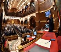 برلماني: مصر خطت خطوات واسعة نحو تنفيذ تطوير التعليم الجامعي