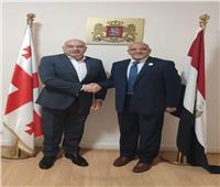 سفير جورجيا يستقبل رئيس جامعة أسوان لبحث سبل التعاون المشترك