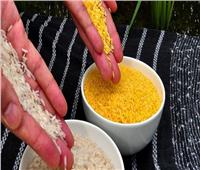 «الأرز الذهبي».. هل هو حل صحي لنقص فيتامين A؟