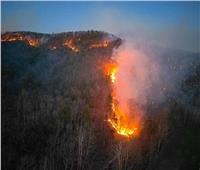 10 ولايات أمريكية معرضة لحرائق غابات في عام 2024