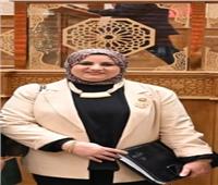 عفاف زهران: صندوق النيل للاستثمار خطوة مهمة للنهوض بمجال الصناعة المصرية