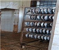  ضبط وإعدام 800 كجم أسماك مملحة منتهية الصلاحية بالبحيرة 